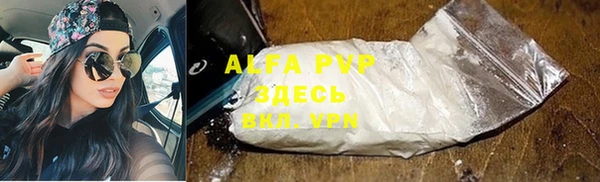 индика Белокуриха