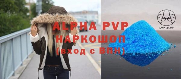 индика Белокуриха