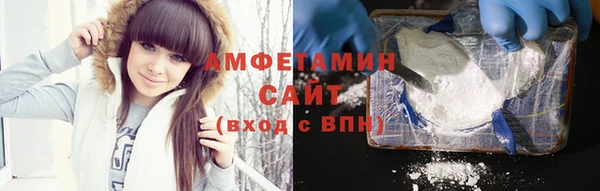 индика Белокуриха