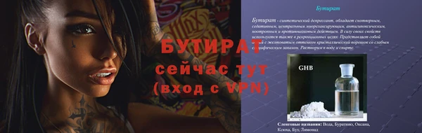 индика Белокуриха