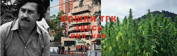 индика Белокуриха