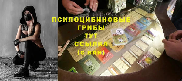 индика Белокуриха