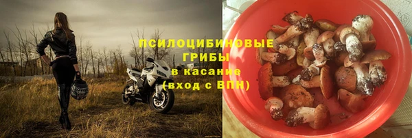 бошки Беломорск