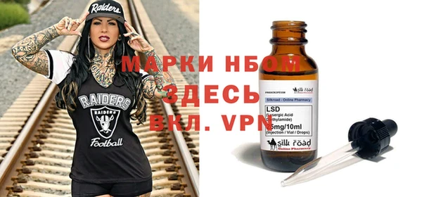 индика Белокуриха