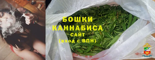 индика Белокуриха